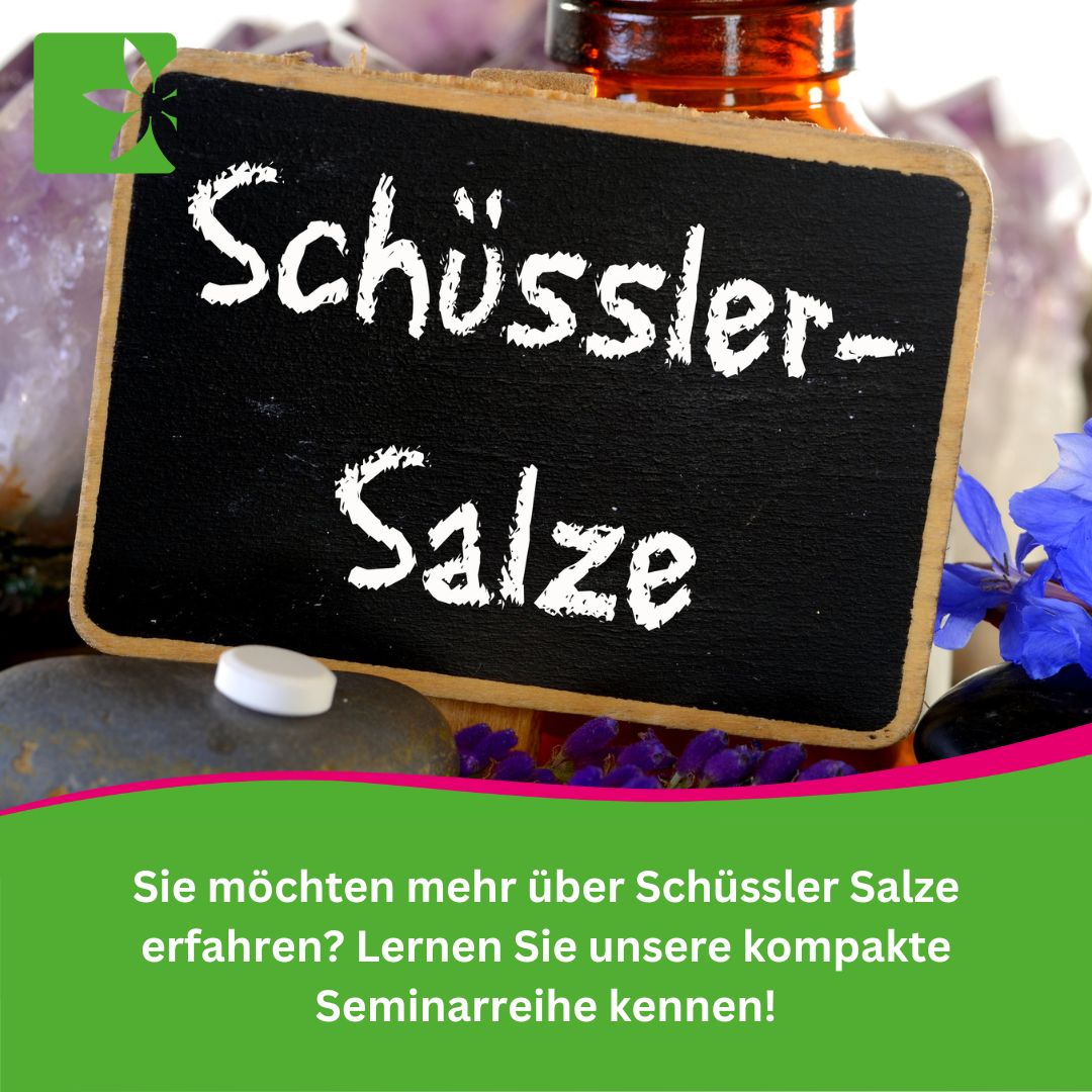 BaBlü® Popup Schüssler Salze Ausbildung