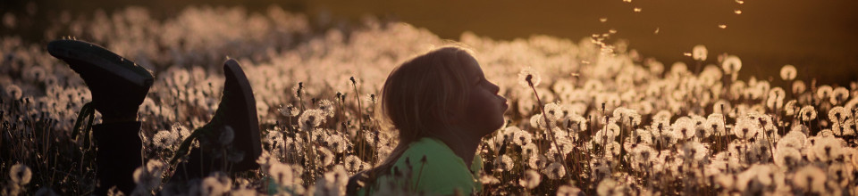 Bachblüten für Kinder der neuen Zeit - von Hochsensibilität bis ADHS