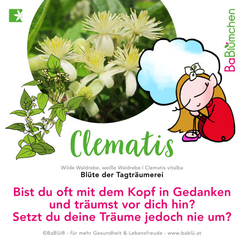 Clematis