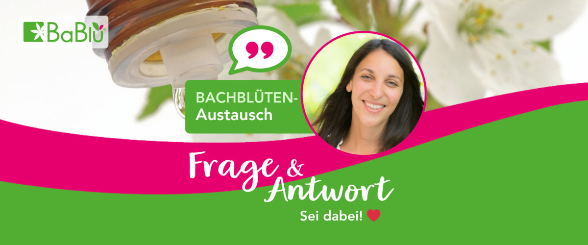 Frage & Antwort BaBlü Austausch mit Claudia Reischl-Mühlböck - Banner