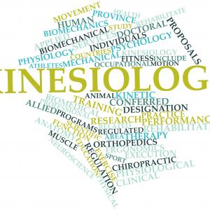 Kinesiologie - Fotolia Kinesiologie - Fotolia