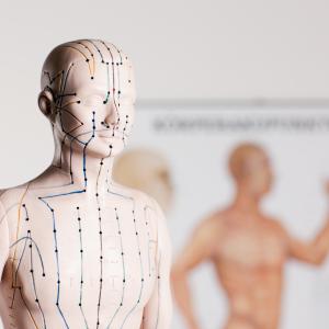 Kinesiologie - AdobeStock Rob Kinesiologie - AdobeStock Rob